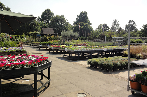 The Vineries Garden Centre & Nursery | Gallery